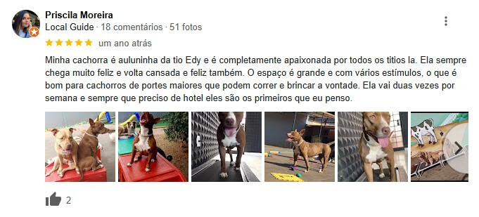 depoimento 02